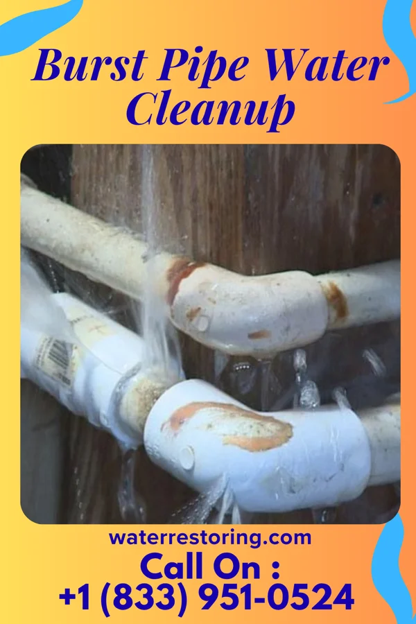 Burst Pipe Water Cleanup in Logan Creek, NV